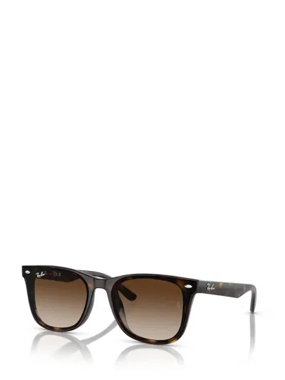 Ray Ban Ray-ban Womens Brown Rb4420 Square-frame Injected Sunglasses In Brown
