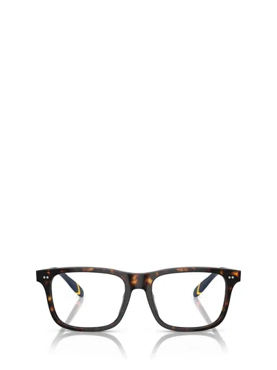 Shop Polo Ralph Lauren Eyeglasses In Multicolor