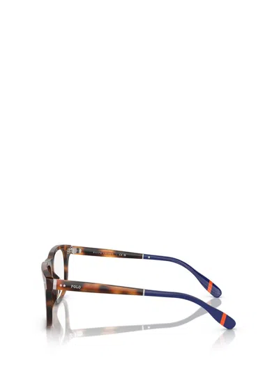 Shop Polo Ralph Lauren Eyeglasses In Shiny Red Havana