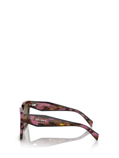 Prada Eyewear Square Frame Sunglasses In Tortoise Cognac Begonia