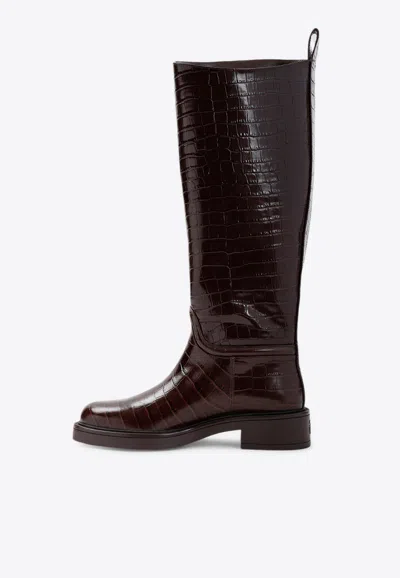 Stuart Weitzman Celia Riding Boots In Croc-embossed Leather In Brown