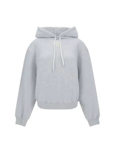 Shop Alexander Wang Sweatshirts In Grey