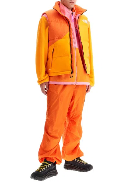 The North Face Color-block Down Vest With Removable Hood