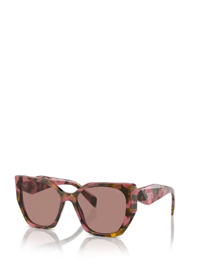 Prada Pr 19zs Overvsize Frame Sunglasses In Tortoise Cognac Begonia