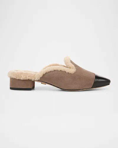 Shop Veronica Beard Cecile Suede Shearling Cap-toe Mules In Taupe Grey Suede