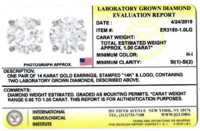 Bliss Diamond 1 Ct Lab Grown Diamond Screw Back Studs 14k White Gold Igi Certified In 14k White Gold