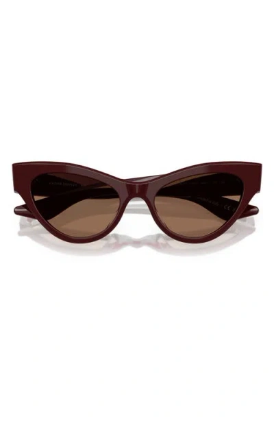 Oliver Peoples Womens Ov5573su 1951c Cat-eye Acetate Sunglasses Red In Burgundy
