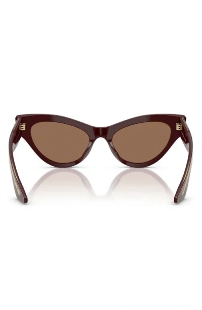 Oliver Peoples Womens Ov5573su 1951c Cat-eye Acetate Sunglasses Red In Burgundy