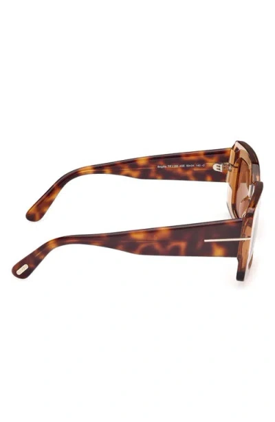Tom Ford Brigitta Rectangle Acetate Sunglasses In Transp Beige/brown Lenses