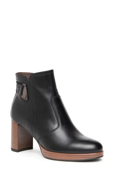 Nerogiardini Leather Buckle Block-heel Booties In Black