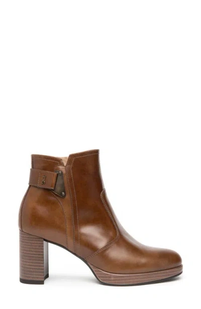 Nerogiardini Leather Buckle Block-heel Booties In Brown