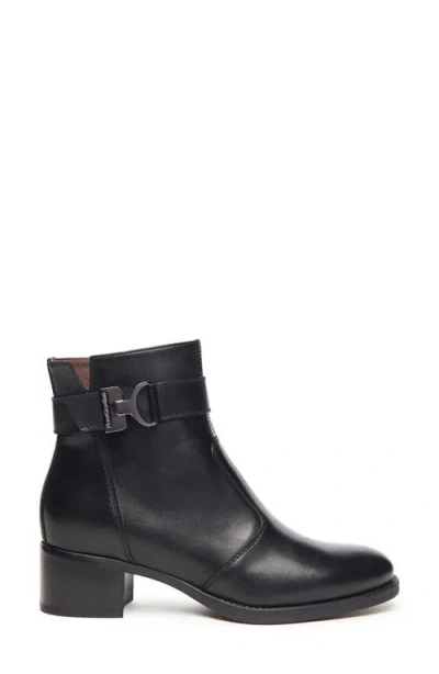Nerogiardini Leather Buckle Ankle Booties In Black