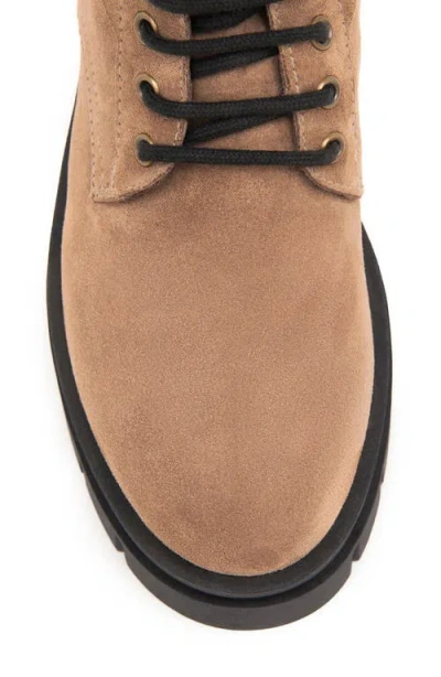 Nerogiardini Chain Suede Flatform Desert Boots In Brown