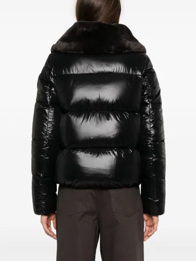 Save The Duck Biddy Puffer Jacket In Black