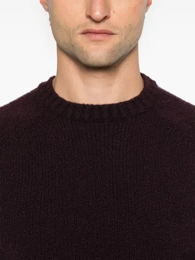 Drumohr Merino Wool Sweater In Purple