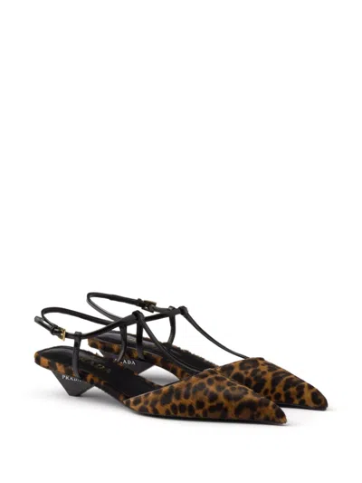 Prada Leopard T-strap Ballerina Pumps In Brown