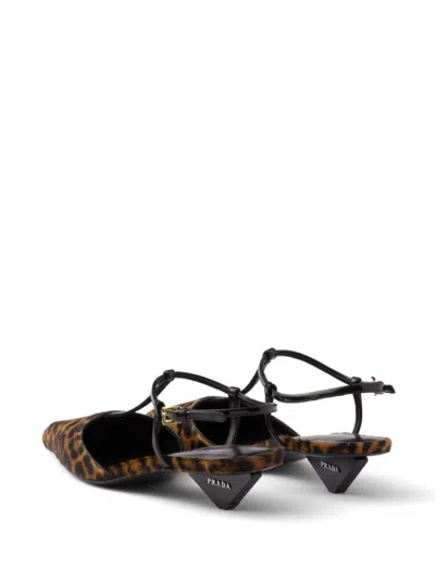 Prada Leopard T-strap Ballerina Pumps In Brown