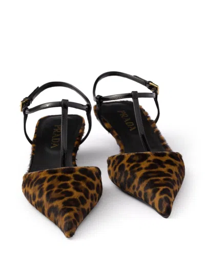 Prada Leopard T-strap Ballerina Pumps In Brown