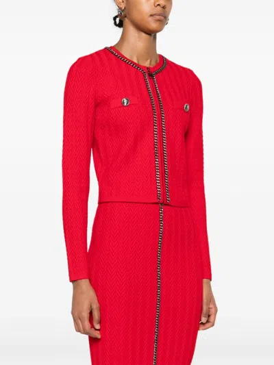 Elisabetta Franchi Sweaters In Red