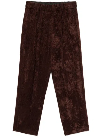 Shop Alysi Velvet Trousers In Brown