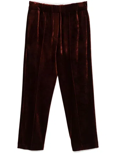 Shop Alysi Velvet Trousers In Brown