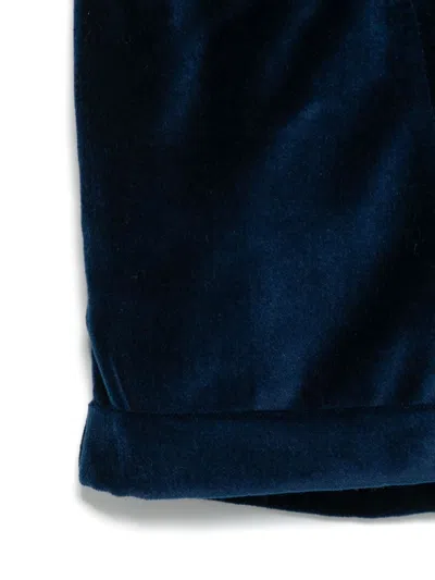 Siola Velvet Shorts In Blue