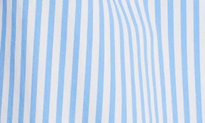 Universal Standard Elbe Classic Fit Button-up Shirt In Blue/white Stripe