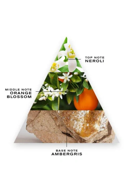 Creed Neroli Sauvage Fragrance In No Color