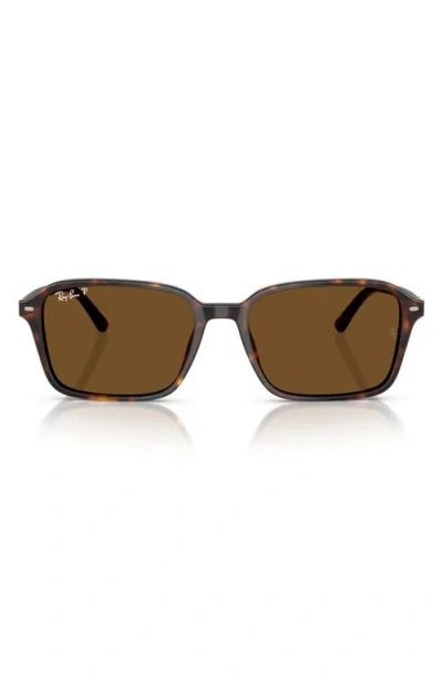 Ray Ban Raimond Sunglasses Havana Frame Brown Lenses Polarized 58-18 In Havana