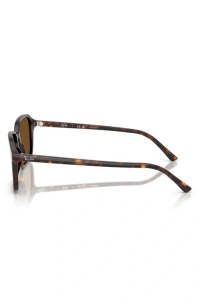 Ray Ban Raimond Sunglasses Havana Frame Brown Lenses Polarized 58-18 In Havana