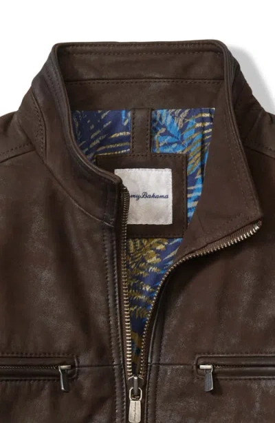 Tommy Bahama Highland Rocker Leather Jacket In Dark Brown