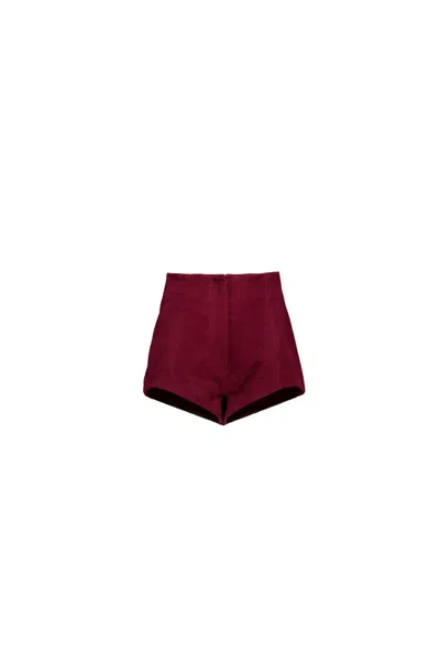 Amotea Donna In Burgundy Suede In Burgundy
