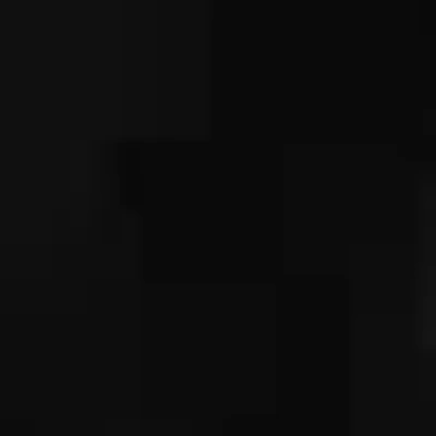 Bebe Cici Pant Set In Black Beauty