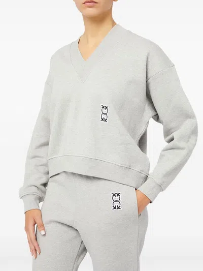 Pinko Sweaters Grey In Grey