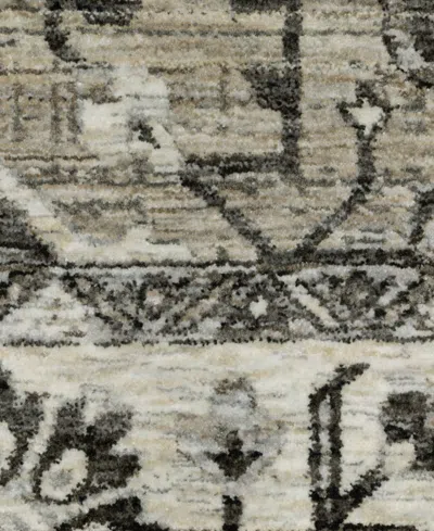 Oriental Weavers Chamberlain Ch08b 6'7x9'6 Area Rug In Gray