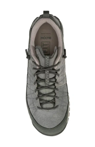 Oboz Jeannette Low Top Sneaker In Forest Shadow