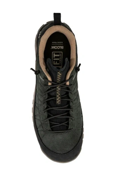 Oboz Jeannette Low Top Sneaker In Black Sea
