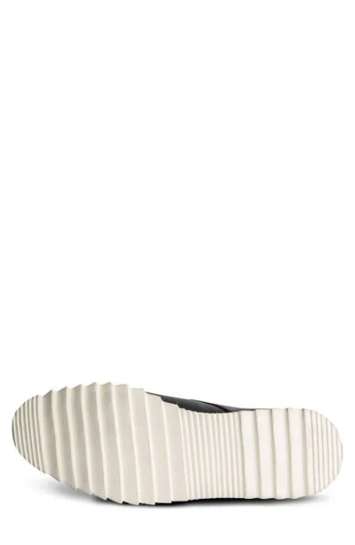 Carlos Santana Hendrix Derby In Navy