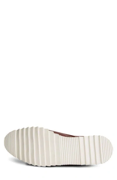 Carlos Santana Hendrix Derby In Tan