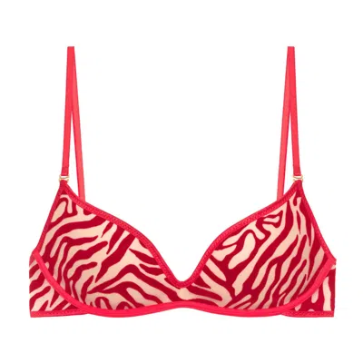 Perilla Women's Kylie Monocup Bra Push Up Red In Red