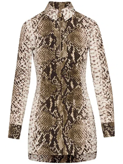 Oscar De La Renta Snake Cotton Poplin Shirt Dress In Green