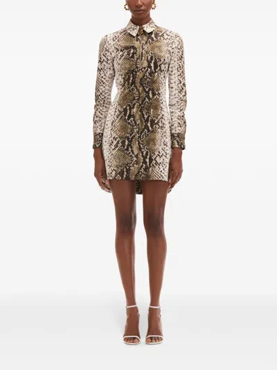 Oscar De La Renta Snake Cotton Poplin Shirt Dress In Green