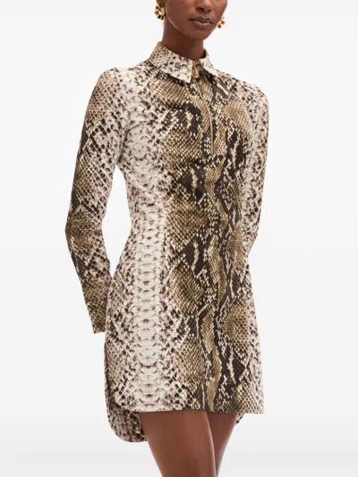 Oscar De La Renta Snake Cotton Poplin Shirt Dress In Green