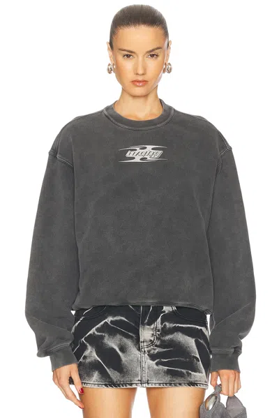 Alexander Wang Crewneck Sweatshirt In Washed Cedar