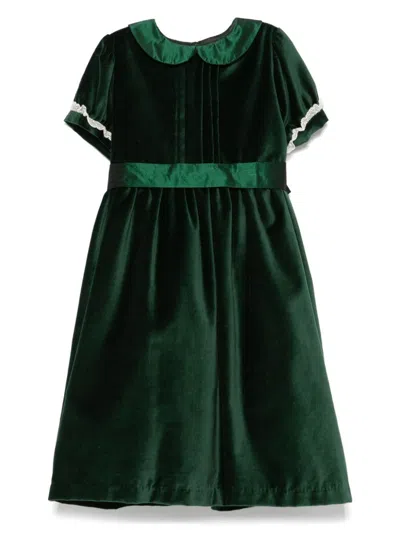 Siola Velvet Dress In 绿色