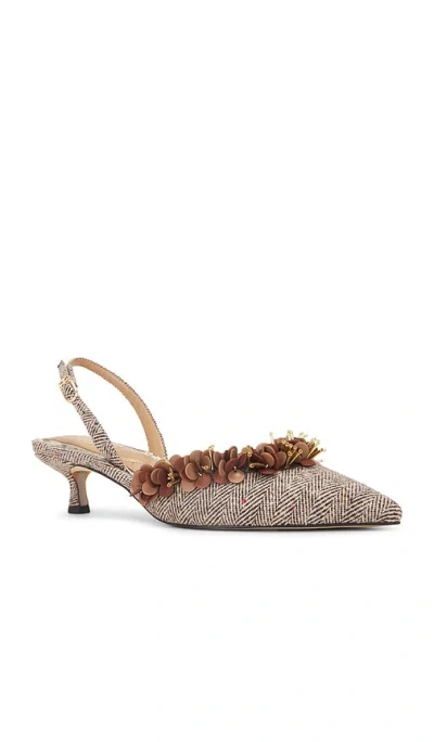 Sam Edelman Trent Slingback Pointed Toe Kitten Heel Pump In Brown