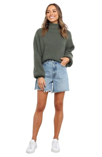 Petal And Pup Petal & Pup Freddie Turtleneck Sweater In Green