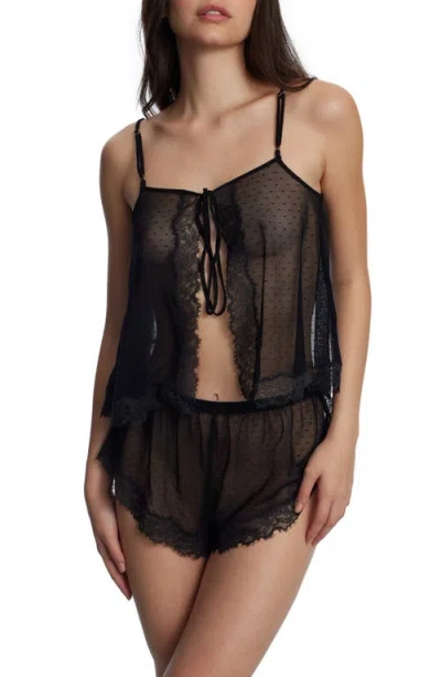 Skarlett Blue Entice Shorts Black In Black