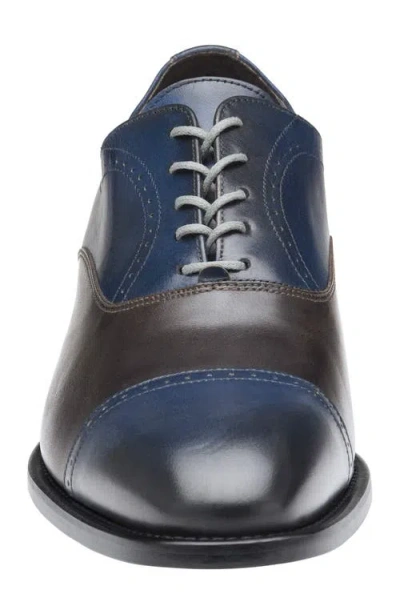 Johnston & Murphy Ellsworth Cap Toe Oxford In Navy/brown Italian Calfskin