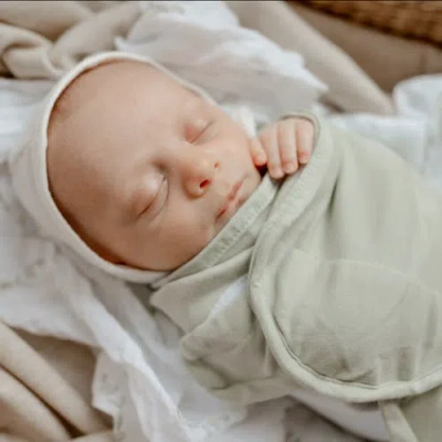 Ely's & Co. Adjustable Swaddle Blanket 2 Pack In Eucalyptus & Sage